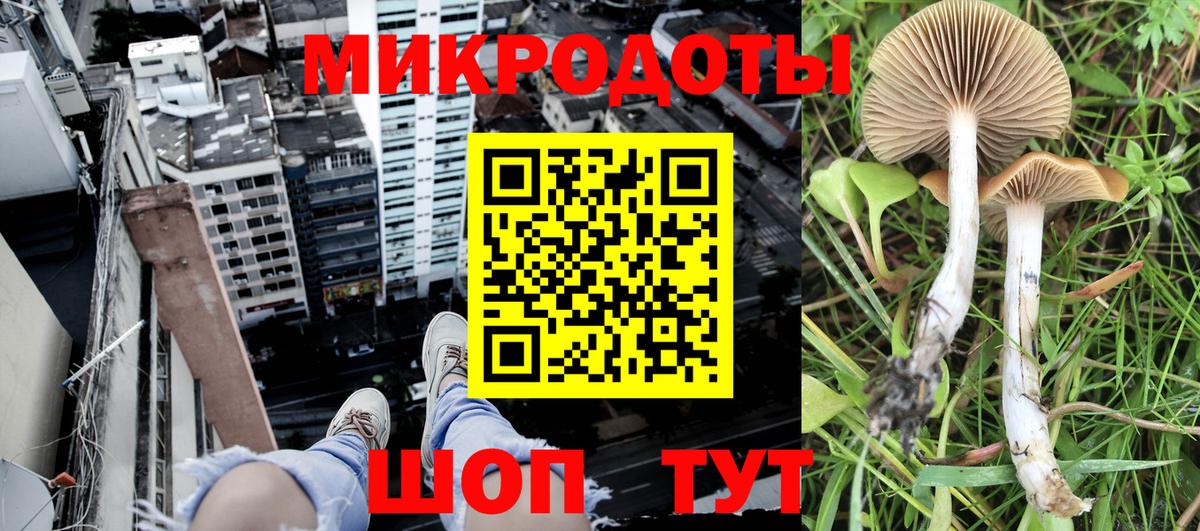 Галлюциногенные грибы мухоморы Махачкала