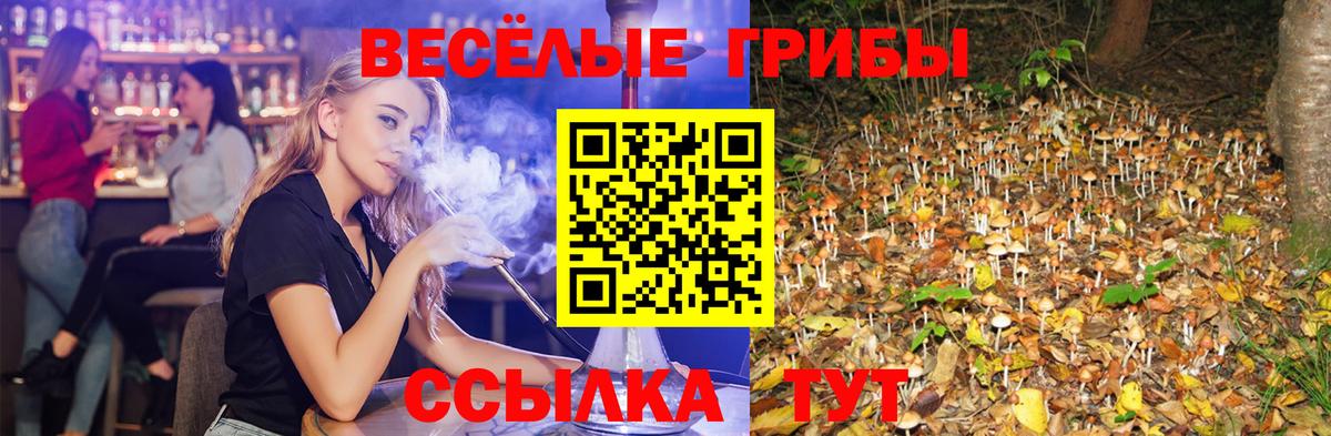 NBOMe Махачкала